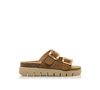 MTNG Sandales Plates Femme Lion 54160 | 60338 | Avellana 251