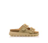 MTNG Sandales Plates Femme Lion 54160 | 60341 | Salvia 251