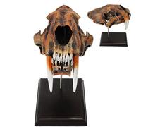 MTTXY Réplique de Modèle de Crâne de Tigre à Dents de Sabre Smilodon 1:1 en Résine avec Présentoir pour l'enseignement des Sciences, Modèle de Tête de Crâne d'animal