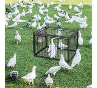 MUALROUS 43CM Piège à Pigeons avec Conception à l’Épreuve De l’Évasion Pigeon Dove Piège à Oiseaux Cage Pliant Entrée à Sens Unique Patio Extérieur Jardin Piège sans Cruauté pour Moineau Souris Lapin