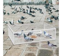 MUALROUS 90cm Piège à Pigeons de avec Conception à l’Épreuve de l’Évasion Pigeon Dove Piège à Oiseaux Cage Pliante Entrée à Sens Unique Piège de Jardin de Patio Extérieur pour Moineau Souris Lapin