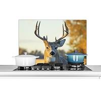 MuchoWow Credence Cerf - Herbe - Automne - Bois - Nature - Animaux Fond de hotte 90x60 cm Credence Aluminium Plaque INOX de Cuisine