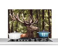 MuchoWow Credence Cerf - Nature - Bois - Forêt - Animaux Fond de hotte 100x65 cm Credence Aluminium Plaque INOX de Cuisine