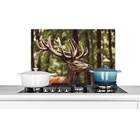 MuchoWow Credence Cerf - Nature - Bois - Forêt - Animaux Fond de hotte 60x40 cm Credence Aluminium Plaque INOX de Cuisine