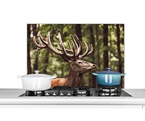 MuchoWow Credence Cerf - Nature - Bois - Forêt - Animaux Fond de hotte 80x55 cm Credence Aluminium Plaque INOX de Cuisine