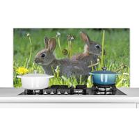MuchoWow Credence Lapins - Fleurs - Herbe Fond de hotte 120x60 cm Credence aluminium Plaque INOX de Cuisine