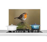 MuchoWow Credence Oiseau - Robin - Bois Fond de hotte 90x60 cm Credence Aluminium Plaque INOX de Cuisine