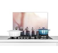 MuchoWow Credence Oiseaux - Moineaux - Poteaux - Bois Fond de hotte 60x40 cm Credence Aluminium Plaque INOX de Cuisine