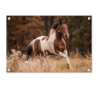 MuchoWow© Deco Jardin Exterieur 60x40 cm Décorative Poster Affiche Murale Decoration Balcon Décoration Extérieure Terrasse Déco Appartement Cheval - Marron - Herbe