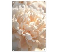 MuchoWow© Deco Jardin Exterieur 60x90 cm Décorative Poster Affiche Murale Decoration Balcon Décoration Extérieure Terrasse Déco Appartement Gros Plan - Pivoine - Rose Clair