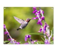 MuchoWow© Deco Jardin Exterieur 80x60 cm Décorative Poster Affiche Murale Decoration Balcon Décoration Extérieure Terrasse Déco Appartement Colibri - Oiseau - Nature