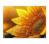MuchoWow© Deco Jardin Exterieur 80x60 cm Décorative Poster Affiche Murale Decoration Balcon Décoration Extérieure Terrasse Déco Appartement Tournesol - Gouttes De rosée - Lumière du Soleil