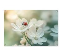 MuchoWow© Deco Jardin Exterieur 90x60 cm Décorative Poster Affiche Murale Decoration Balcon Décoration Extérieure Terrasse Déco Appartement Coccinelle - Fleurs - Blanc