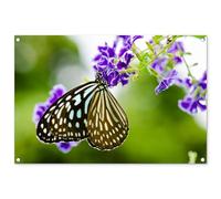 MuchoWow© Deco Jardin Exterieur 90x60 cm Décorative Poster Affiche Murale Decoration Balcon Décoration Extérieure Terrasse Déco Appartement Lavande - Papillon - Botanique