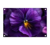 MuchoWow© Décoration Jardin 60x40 cm Bâche Décorative Posters Décoratifs Decoration Balcon Affiche Extérieur Déco Appartement Deco Exterieur Violet - Violon - Profondeur