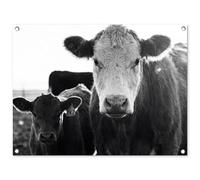 MuchoWow© Décoration Jardin 80x60 cm Bâche Décorative Posters Décoratifs Decoration Balcon Affiche Extérieur Déco Appartement Deco Exterieur Vaches - Noir et Blanc