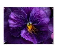 MuchoWow© Décoration Jardin 80x60 cm Bâche Décorative Posters Décoratifs Decoration Balcon Affiche Extérieur Déco Appartement Deco Exterieur Violet - Violon - Profondeur