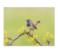 MuchoWow© Décoration Jardin 80x60 cm Bâche Décorative Posters Décoratifs Decoration Balcon Affiche Extérieur Déco Appartement Deco Exterieur Oiseau - Branche - Nature - Coloré