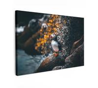 MuchoWow© Impression sur Toile Decoration Murale Peinture 30x20 cm Tableaux Art Décoratif Muraux Décoration Chambre Perroquet - Oiseau - Rocher - Blanc