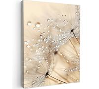 MuchoWow© Impression sur Toile Decoration Murale Peinture 30x40 cm Tableaux Decoratifs Muraux Déco Chambre Tableau Salon Pissenlit - Abstrait - Nature - Beige