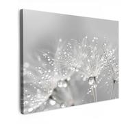 MuchoWow© Impression sur Toile Decoration Murale Peinture 40x30 cm Tableaux Decoratifs Muraux Déco Chambre Tableau Salon Pissenlit - Gouttes d'eau - Nature morte - Moderne