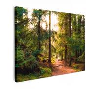 MuchoWow© Impression sur Toile Decoration Murale Peinture 40x30 cm Tableaux Decoratifs Muraux Décoration Chambre Forêt - Chemin - Arbre - Vert - Soleil - Nature