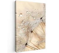 MuchoWow© Impression sur Toile Decoration Murale Peinture 80x120 cm Tableaux Decoratifs Muraux Déco Chambre Tableau Salon Pissenlit - Abstrait - Nature - Beige