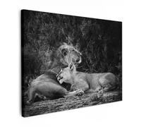 MuchoWow© Impression sur Toile Decoration Murale Peinture 80x60 cm Tableau Art Décoratif Muraux Décoration Chambre Lion - Félins - Noir et blanc - Animaux