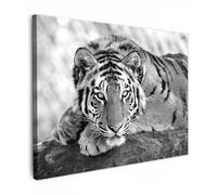 MuchoWow© Impression sur Toile Decoration Murale Peinture 80x60 cm Tableau Art Décoratif Muraux Décoration Chambre Lion - Félins - Noir et blanc - Animaux