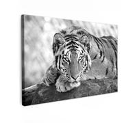MuchoWow© Impression sur Toile Decoration Murale Peinture 90x60 cm Tableau Art Décoratif Muraux Décoration Chambre Lion - Félins - Noir et blanc - Animaux