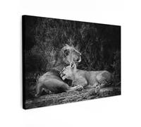 MuchoWow© Impression sur Toile Decoration Murale Peinture 90x60 cm Tableau Art Décoratif Muraux Décoration Chambre Lion - Félins - Noir et blanc - Animaux