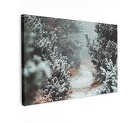 MuchoWow© Impression sur Toile Decoration Murale Peinture Tableaux | 90x60 cm - Decoratifs Muraux Déco Chambre Tableau Salon Forêt - Hiver - Arbres - Nature - Crapaud - Neige