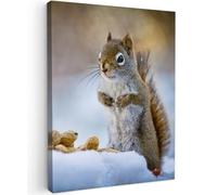 MuchoWow© Impression sur Toile Peinture 50x70 cm Tableau Mural Decoration Salon Reproductions de Tableaux Murale Moderne Écureuil - Noix - Neige - Hiver - Rongeurs - Saisons