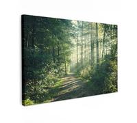 MuchoWow© Impression sur Toile Peinture 90x60 cm Tableau Mural Decoration Salon Reproductions de Tableaux Murale Moderne Forêt - Chemin - Soleil - Arbre - Vert - Nature