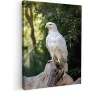 MuchoWow© Impressions sur Toile 60x80 cm Deco Tableau Murale Decoration Salon Peinture Tableaux Chambre Toiles Maison Aigle - Bois - Blanc - Plantes