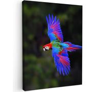 MuchoWow© Impressions sur Toile 60x80 cm Deco Tableau Murale Decoration Salon Peinture Tableaux Chambre Toiles Maison Couleurs Vives - Perroquet - Forêt - Ailes