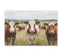 MuchoWow© Paillasson 80x120 cm Interieur Entree Tapis d'Entrée Pallaison Entree Porte Absorbant Pallaissons Door Mat Design Encastrable Vaches - Portrait - Pré - Ferme - Curieux