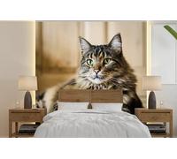 MuchoWow Papier peint Chat Maine Coon noir et marron à poils longs et rayés Papier peint photo 260x260 cm Papier peint imprimé