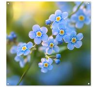 MuchoWow© Poster De Jardin 100x100 cm Deco Exterieur Decoration Balcon Décoration Affiche Murale Extérieur Terrasse Mur Déco Appartement Décorative Fleurs - Bleu - Ne m'oubliez Pas