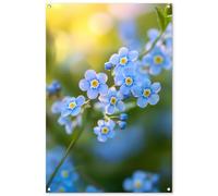 MuchoWow© Poster De Jardin 80x120 cm Deco Exterieur Decoration Balcon Décoration Affiche Murale Extérieur Terrasse Mur Déco Appartement Décorative Fleurs - Bleu - Ne m'oubliez Pas