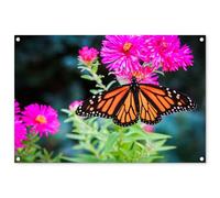 MuchoWow© Poster De Jardin 90x60 cm Deco Exterieur Decoration Balcon Décoration Affiche Murale Extérieur Terrasse Mur Déco Appartement Décorative Papillon - Botanique - Fleur