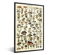 MuchoWow Poster encadré Champignon - Automne - Saisons - Vintage - Adolphe Millot - Nature Tableau deco avec cadre 40x60 cm affiche decoration murale