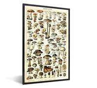 MuchoWow Poster encadré Champignon - Automne - Saisons - Vintage - Adolphe Millot - Nature Tableau deco avec cadre 80x120 cm affiche decoration murale