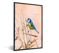 MuchoWow Poster encadré Oiseau - Mésange bleue - Roseau Tableau deco avec cadre 40x60 cm affiche decoration murale