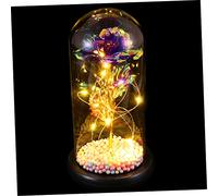 MUCKLILY 1Pièce Lampe Ambiance Rose de Saint Valentin sous Cloche Verre pour Occasions Spéciales Décoration Chaleureuse Fleurs Immortelles Texture
