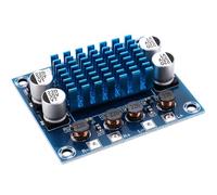 MUCKLILY Carte Amplificateur Audio Numérique Double Canal pour Projets DIY Module Amplificateur Puissance Compatible et Platine Audio