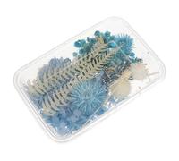 MUCKLILY Fleurs Séchées Naturelles pour Cadre Photo - Boîte de 11 Pièces, Décoration de Fleur DIY pour Cartes, Boîtes et Festivals, Accessoires Multicolores pour Bricolage et Compositions