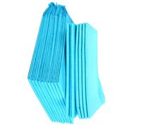 MUCKLILY Lot de 10 Alèses Jetables pour Chien en Pulb et PVC, Absorption Rapide, Usage Pratique pour Chiens Âgés Intérieur, pour Voiture ou Chambre D'hôtel