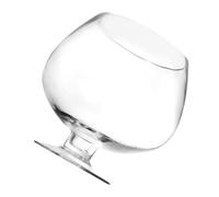 MUCKLILY Vase à Poisson décoration Vase Transparent Verre bière lointaine Vase Bocal à Poisson Petit Aquarium Chariot à Pois Aquarium de Table pour Poissons Rouges Un Verre