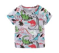Mud Kingdom Les Tout-Petits Mignon Dinosaure T-Shirt Été Décontracté Gris 4 Ans